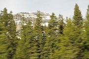 37 - Bow Lake  - IMG_0877